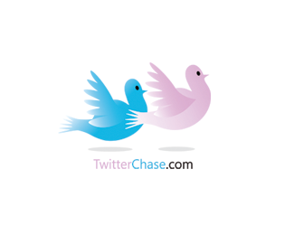 Twitter Chase 