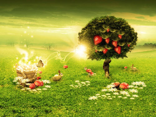 HD Wallpapers