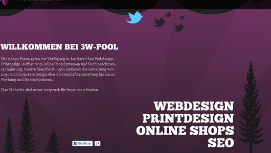 Web Design