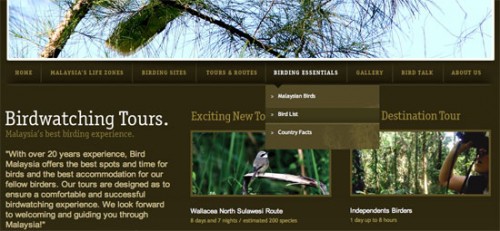 bird malaysia