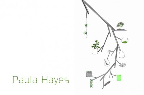 Paula Hayes