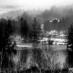 01-bw-forests 01-bw-forests