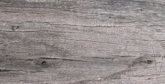 Wood Texture