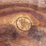 12-texture-009