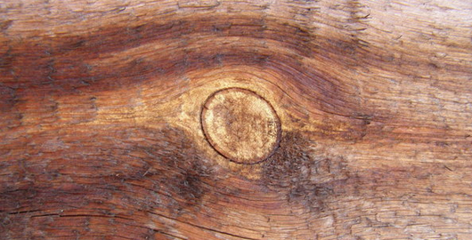 Wood Texture