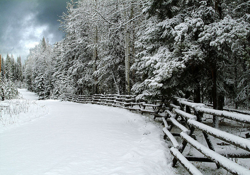 Winter Landscapes