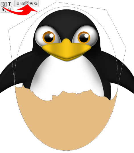 Penguin Character