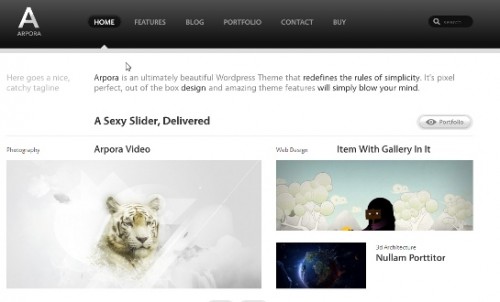 Arpora social wordpress theme