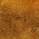 leather texture leather texture