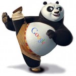 google panda