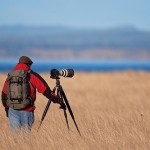 wildlife Photographer wildlife Photographer
