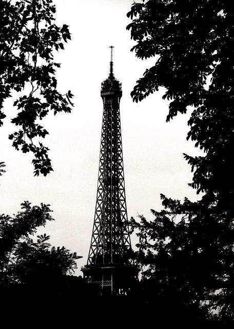 Eiffel Tower (18)