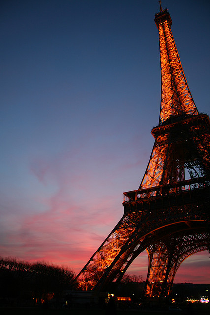Eiffel Tower (21)