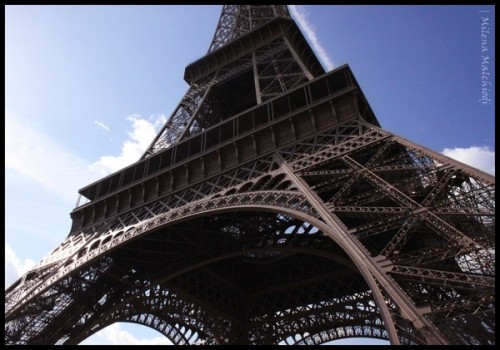 Eiffel Tower (4)