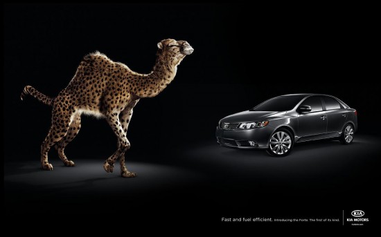 Print Advertisements with Animals (4)