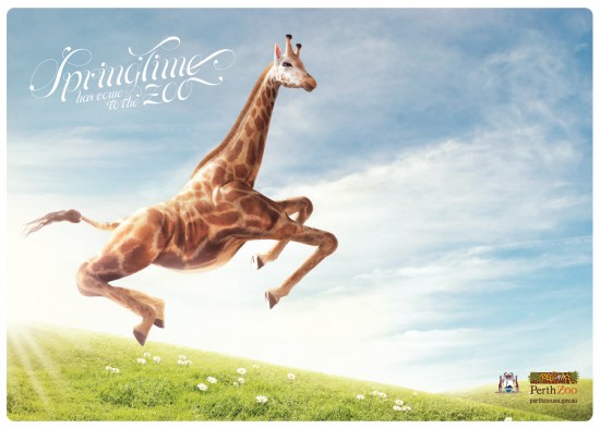 Print Advertisements with Animals (5)