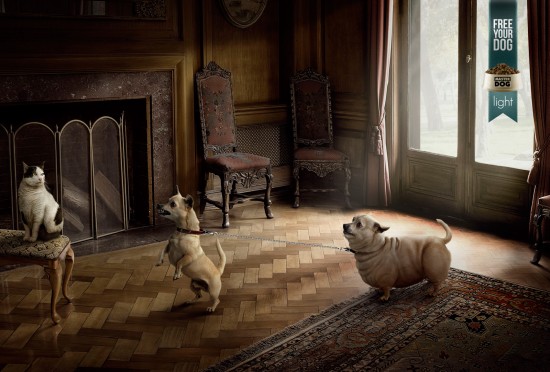 Print Advertisements with Animals (12)