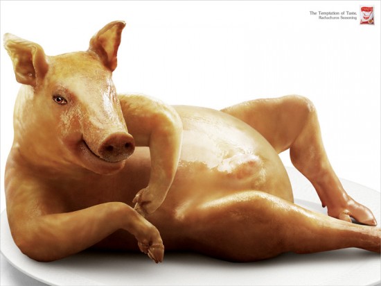Print Advertisements with Animals (16)