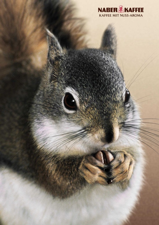 Print Advertisements with Animals (17)