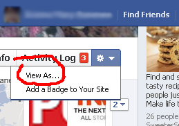 View Option in Facebook Timeline