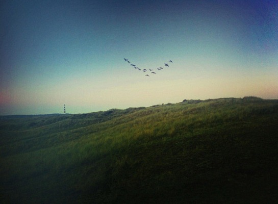 Awesome Photo