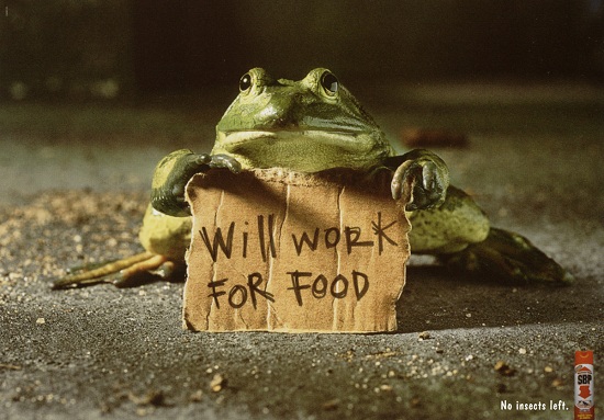Work For Food