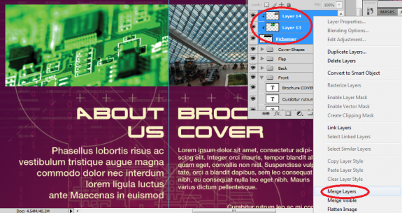Brochure