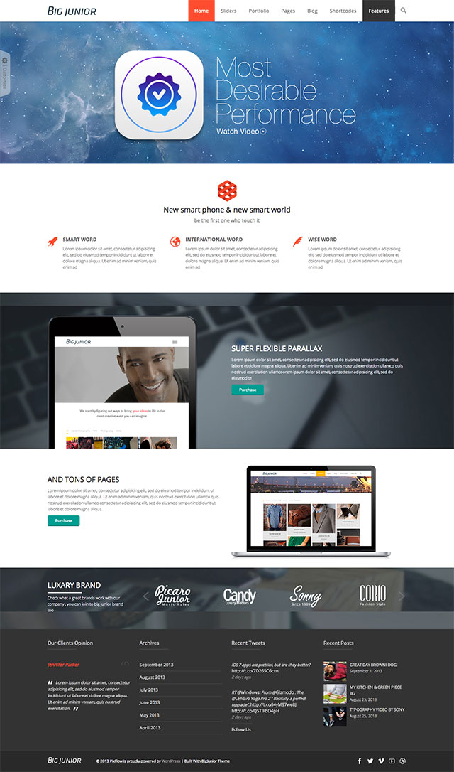 Big-Junior-Responsive-WordPress-Theme