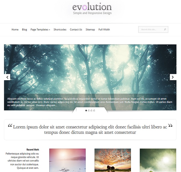 evolution wordpress theme