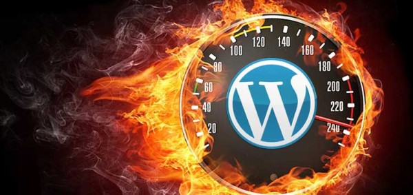 Wordpress browser caching
