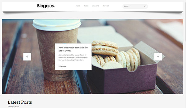 Blogojoy