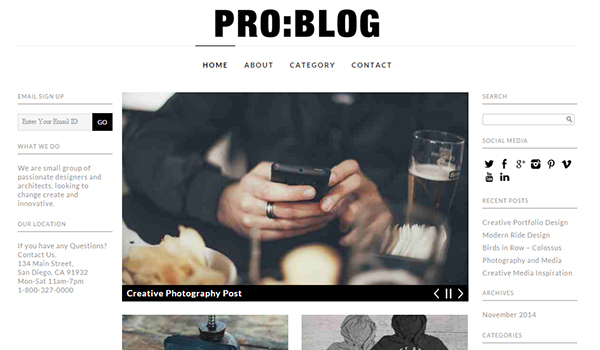 Pro Blog