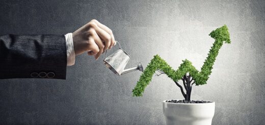 Growing Your Startup Business