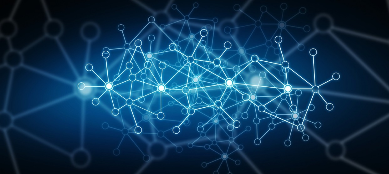 Blockchain Networks